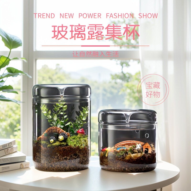 露集杯微景观生态瓶办公桌摆件玻璃集露瓶容器观赏透明露集瓶造景