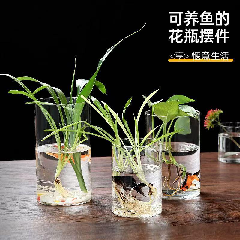 高硼硅玻璃直筒插花花瓶水培观景瓶 家用办公室小鱼缸微景生态瓶