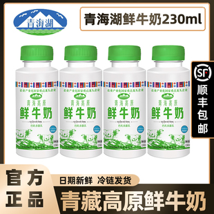 【顺丰】青海湖青藏高原鲜牛奶500ml巴氏杀菌纯鲜活低温冷藏230