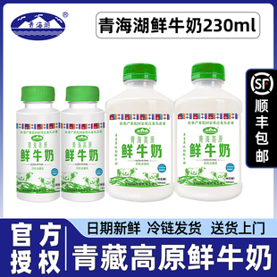 青海湖青藏高原鲜牛奶500ml巴氏杀菌纯鲜活低温冷藏230 顺丰