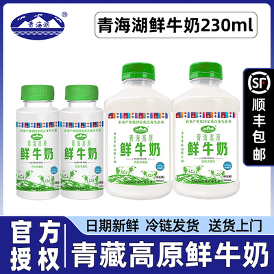 【顺丰】青海湖青藏高原鲜牛奶500ml巴氏杀菌纯鲜活低温冷藏230