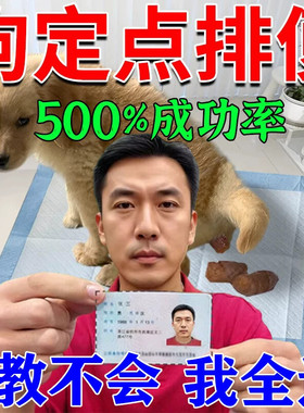 当晚学会】狗狗定点上厕所神器训练宠物狗大小排便不乱拉屎诱导剂