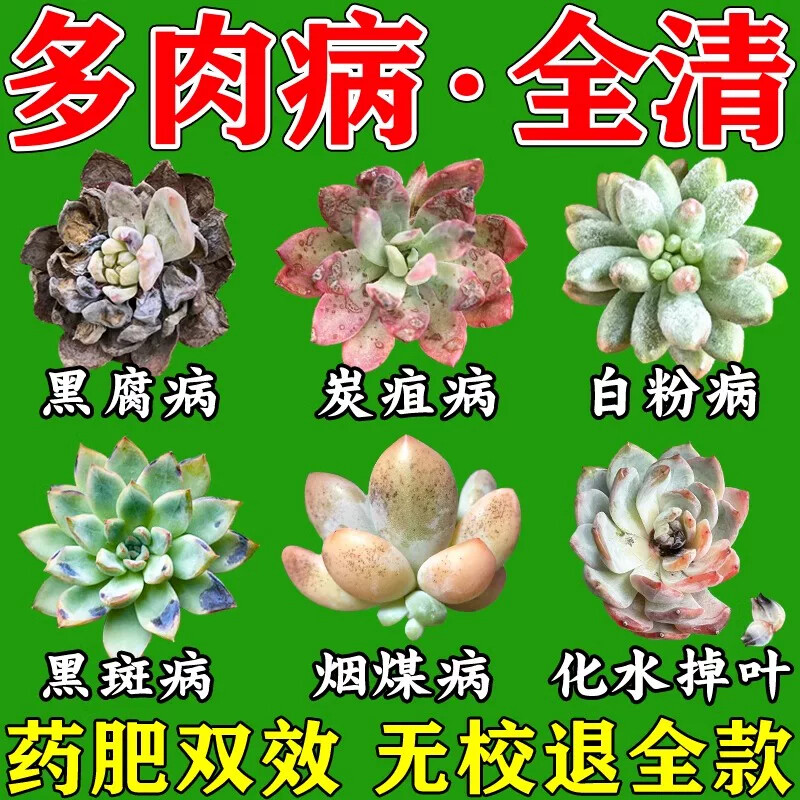 多肉专用肥黑斑病专用杀菌药白粉无机肥