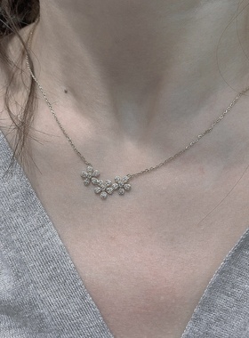 三花项链百搭个性精致锁骨链女