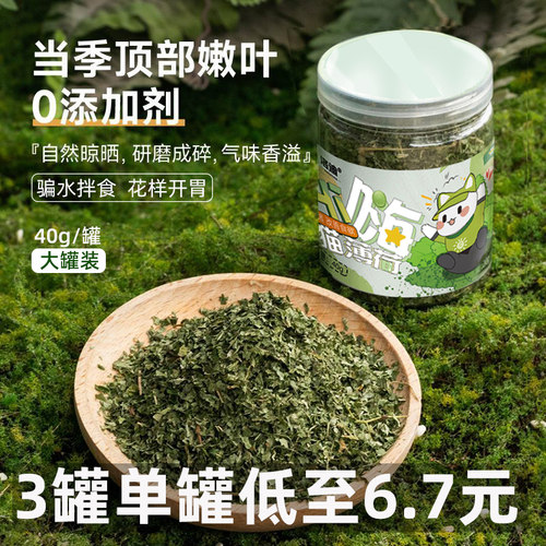 LODI猫薄荷骗水清口可食用正气