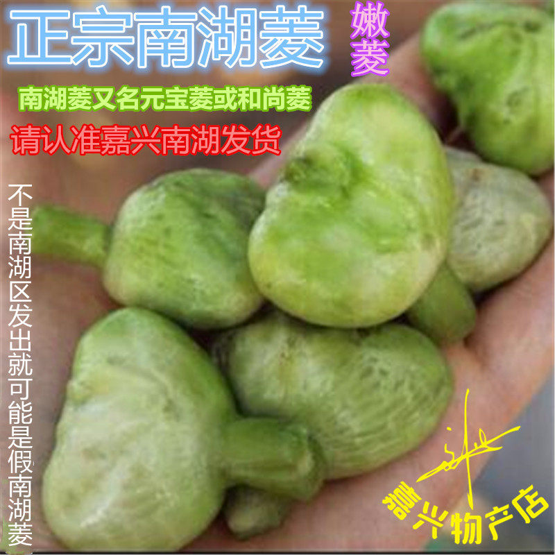 23年8月才嘉兴无角南湖菱新鲜绿菱无角菱元宝菱嫩菱角500g*3斤包