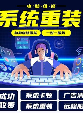 系统重装win7win10win11安装原版纯净版专业版台式笔记本一体机