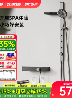 EFEF F901花洒套装枪灰色浴室SPA腰喷肩喷多功能家用淋浴套装