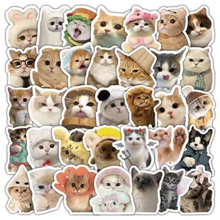 百态萌喵影星写实meme动作贴纸可爱装饰手机diy手账防水贴画素材