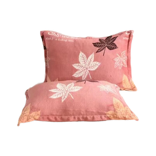 牛奶绒枕套一对装秋冬季珊瑚加绒枕头芯套48cmx74cm单人枕皮巾套2