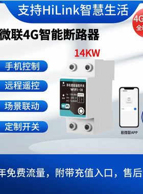 易微联4G智能63A通断路器手机远程控制支持HiLink开关大功率遥控