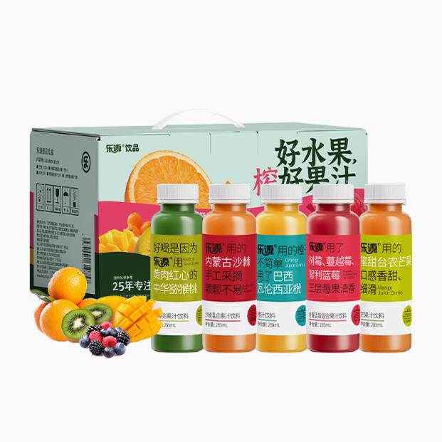 乐源 壹品果汁饮料255ml*10礼盒 维C橙汁猕猴桃沙棘汁芒果维生素