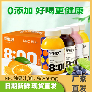 零度果坊NFC早橙好橙汁280g*8瓶100%维c菠萝芭乐汁鲜榨夏季解暑