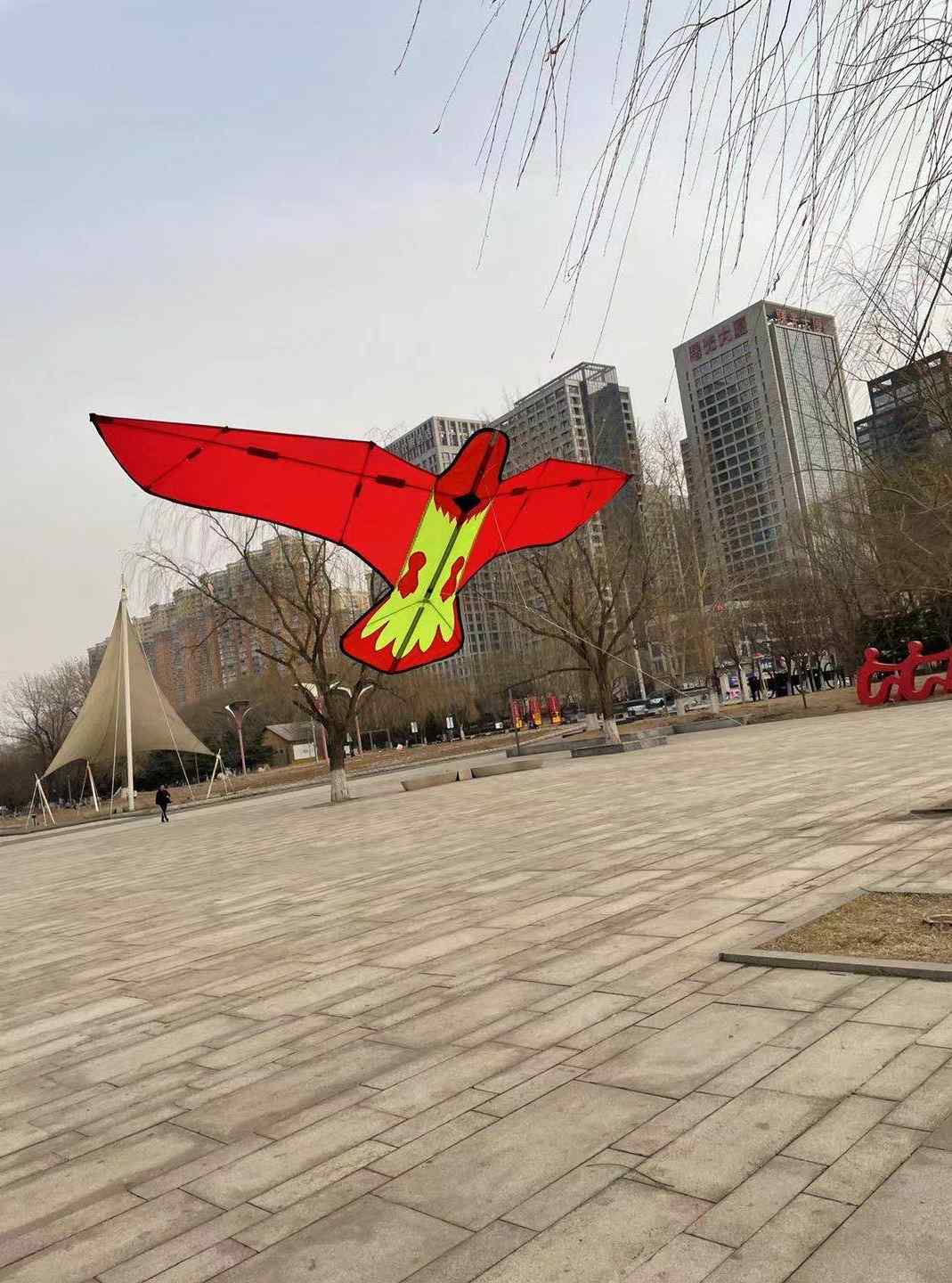 沈阳裁缝刘新品微风碳鹰 裁缝刘老鹰风筝 微风风筝