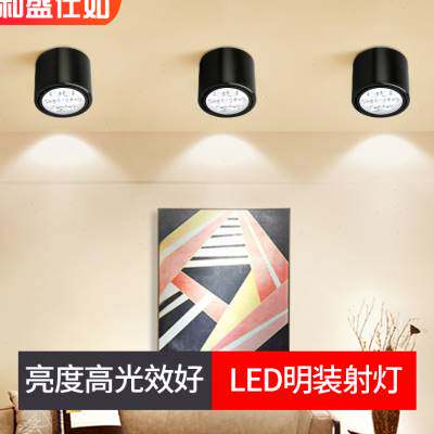 和盛仕如Led明装射灯吸顶式免开孔可调角度明装筒灯天花灯