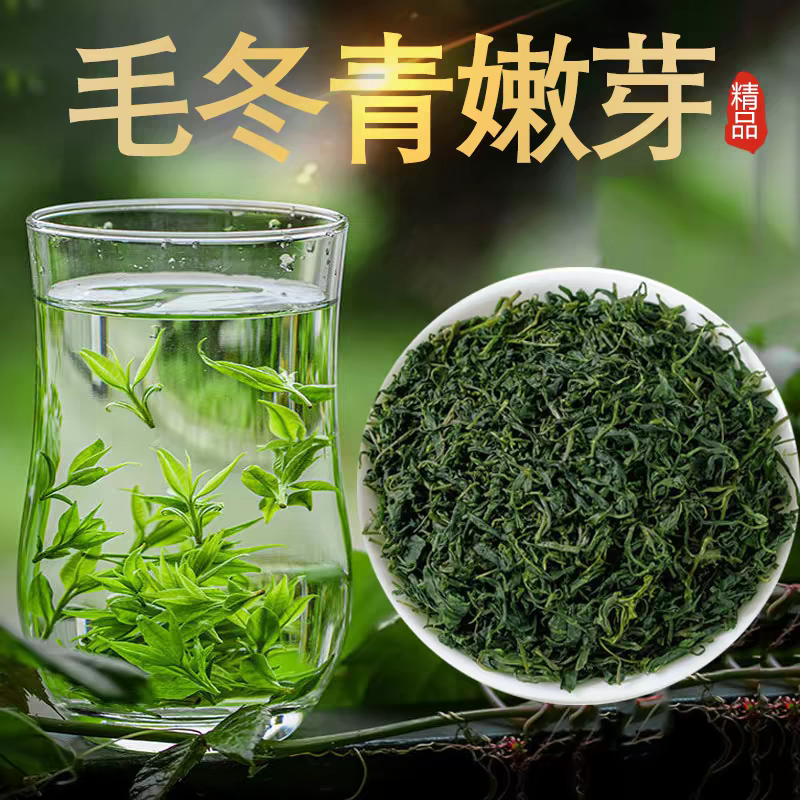 2026年头春头采新茶毛冬青云南野生茶中药材米芽青山绿水嫩芽冬青