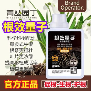 青丛园丁根效量子养根护根预防烂根健壮死棵壮苗扦插生根爆发生根