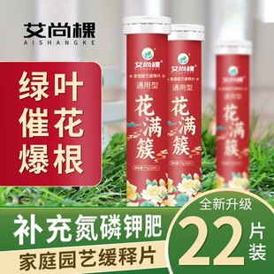 植物营养缓释片家庭园艺缓释肥通用型氮磷钾缓释片室内养花花卉盆