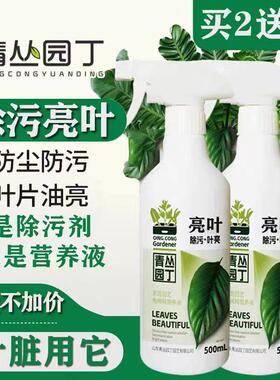 花卉除污亮叶剂免兑水叶油亮植物除污亮叶剂青丛园丁绿植叶面清洁