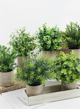 仿真盆栽尤加利迷迭香假花绿植仿真植物圆柱纸浆盆跨境热销仿真花