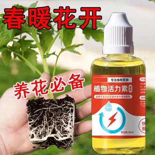 植物通用活力素促芽生根爆盆花卉盆栽多肉生長專用肥濃縮型營養液