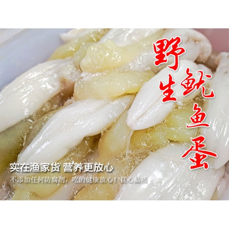 宁波产东海鱿鱼蛋鱿鱼带膏新鲜美味咸海鲜500g包邮下饭菜