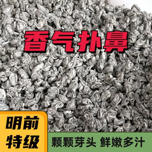 2026年新茶明前嵊州上坞山泉岗辉白茶特级浓香耐泡超龙井绿茶叶