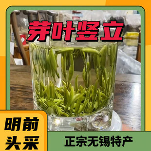 2025年无锡特产太湖翠竹茶叶新茶明前头采嫩芽绿茶散装250g