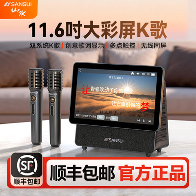 山水W100大音量蓝牙音箱家用小型十大名牌音响K歌一体机官方正品