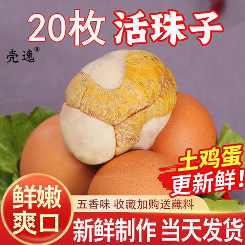10万+人付款活珠子壳逸旗舰店