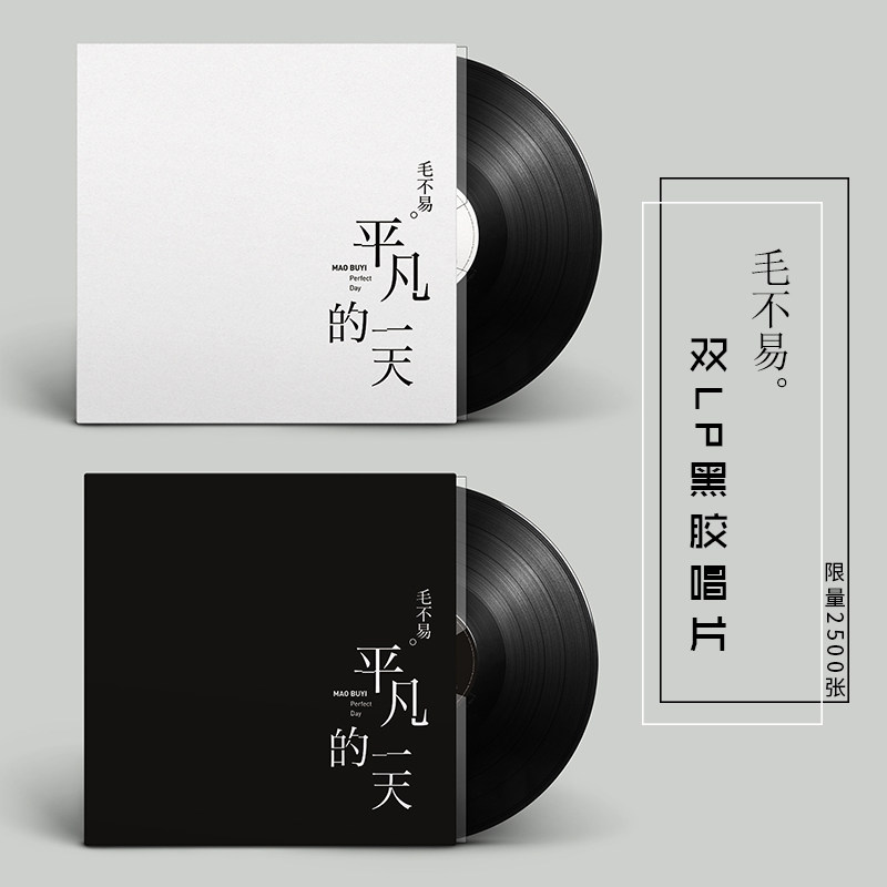 正版毛不易专辑 平凡的一天 LP黑胶唱片老式留声机专用12寸碟片