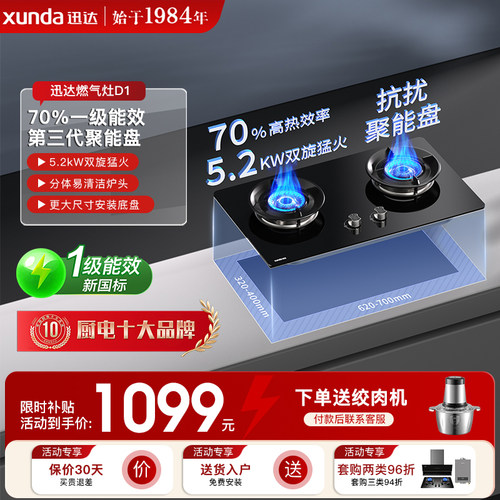 迅达灶具煤气灶家用双灶天然气猛火燃气灶液化气灶台D1