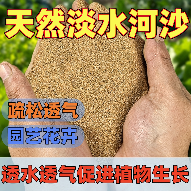 养花河沙精筛多肉君子兰铺面