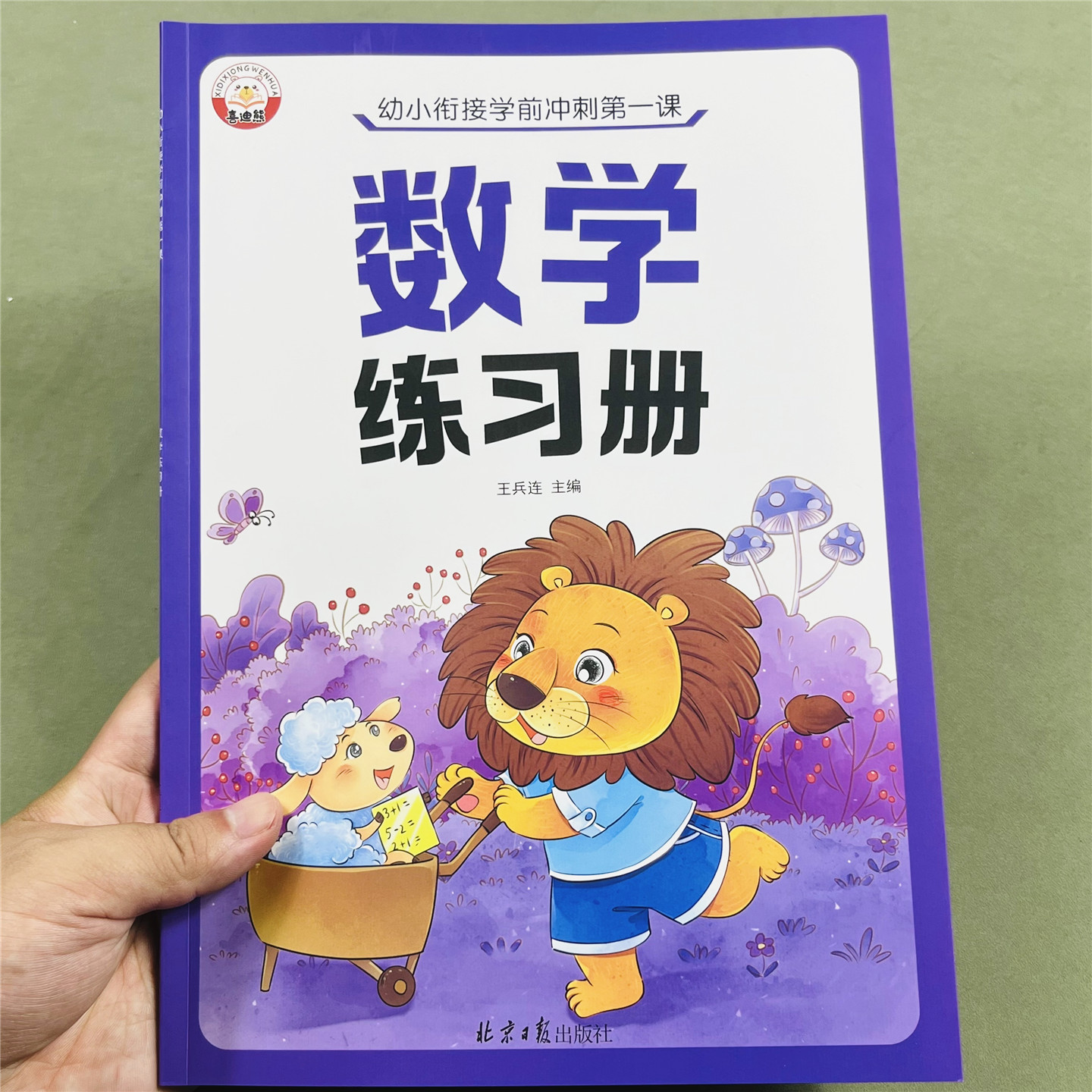 幼小衔接冲刺数学练习册510以内