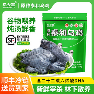 乌乡基正宗原种泰和乌鸡供港品质林下散养180天成年母鸡活鸡现杀