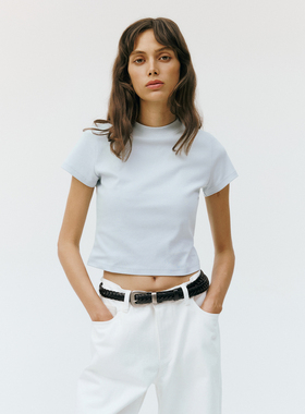 antceee 基础纯色圆领修身正肩短款T恤 百搭凉皮面料休闲tee半袖