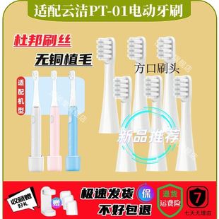inncap云洁电动牙刷PT01牙刷头声波电动牙刷成人替换牙刷头12支装