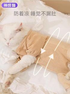 温暖护肚小猫咪衣服秋冬猫猫幼猫布偶猫蓝猫无毛猫宠物防掉毛冬季