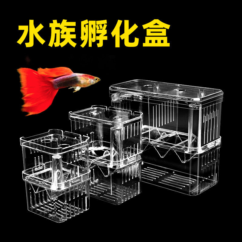 孔雀鱼繁殖神器小鱼鱼缸繁殖孵化隔离盒鱼下崽分离器凤尾鱼产子箱