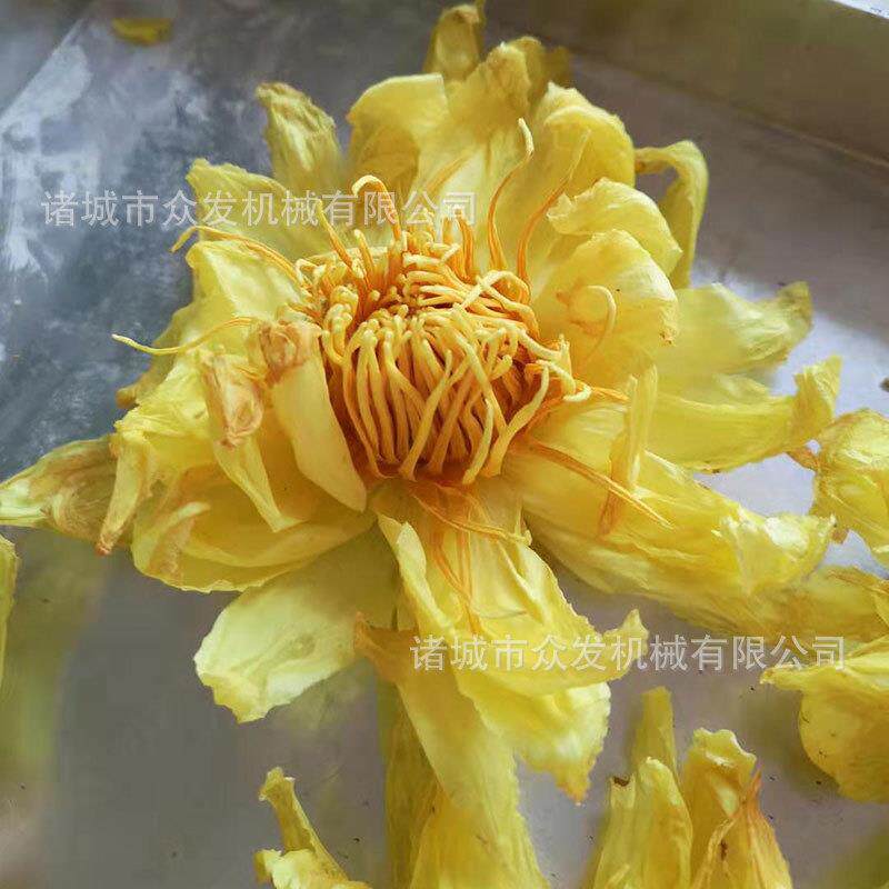 自动化莲花真空冻干机荷花花瓣冷冻干燥机器花茶真空冻干设备