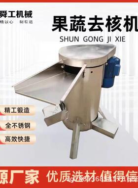 全自动枇杷去核机油柑大枣牛油果快速脱核机商用水果去核设备