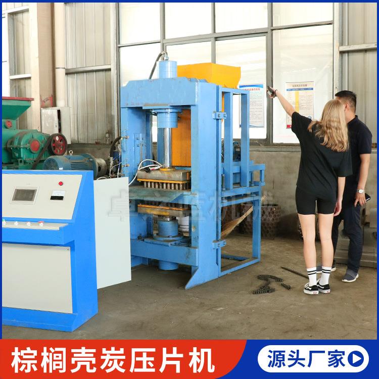 跨境供应棕榈壳炭压片机山茶籽枣核碳成型设备果壳炭片成型机