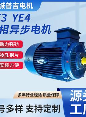 高效率三相异步电动机YE2YE3YE4系列纯铜电机200-355基座4极