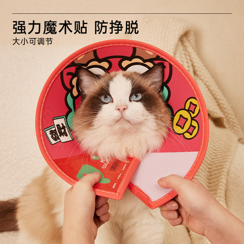 猫咪伊丽莎白圈术后专用防舔头套