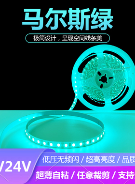 LED灯带24V马尔斯绿 2835低压玛瑙绿12V窄版5毫米健身会所冰绿色