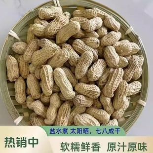 水煮白晒花生忠信水煮咸干花生新鲜软糯鲜香好吃不上火原味盐味