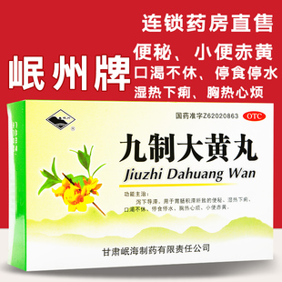 岷州 九制大黄丸10袋泻下导滞口渴不休胸热心烦便秘小便赤黄湿热