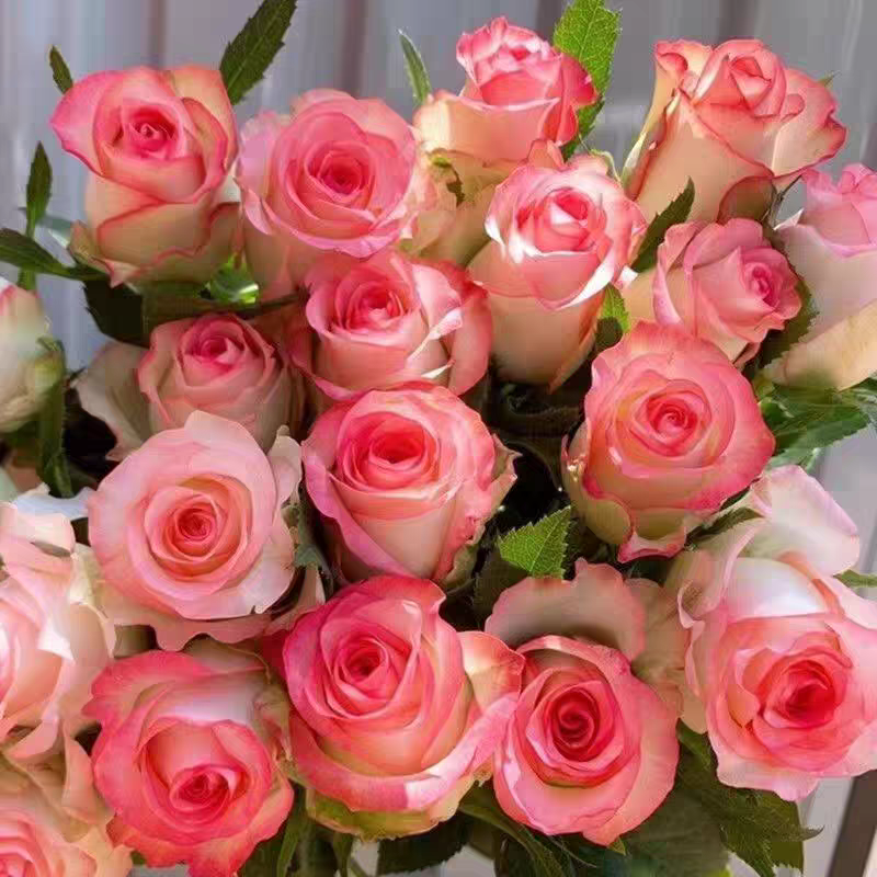多头玫瑰花鲜花向日葵洋桔梗香水百合花水养花束送人