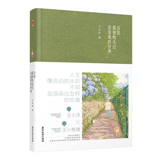王小洋9787557017378广东旅游书籍 杂志 漫画集 世界 漫画书籍 动漫 精 漫画 当我孤独地走过这温柔 报纸