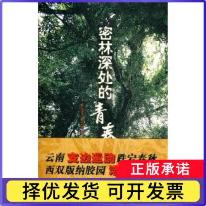 密林深处的青春杨恩芳，赖云琪著9787562148029西南师范大学出版社书籍\/杂志\/报纸/小说/短篇小说集/故事集图片
